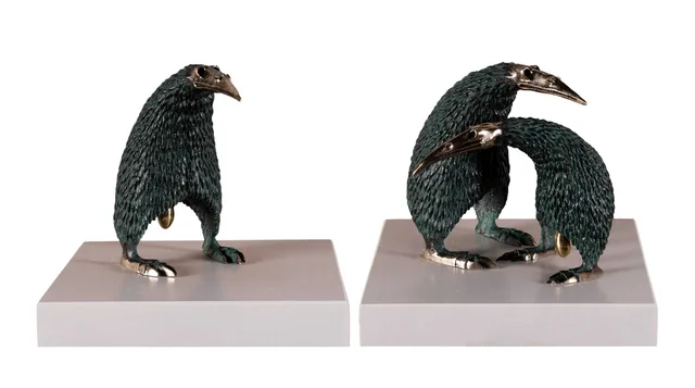 Large Kiwi - Józef Polewka