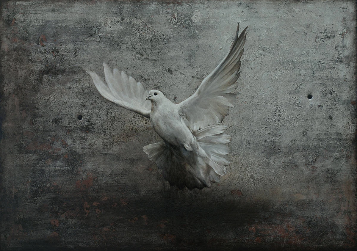 Black — Daniel Krysta