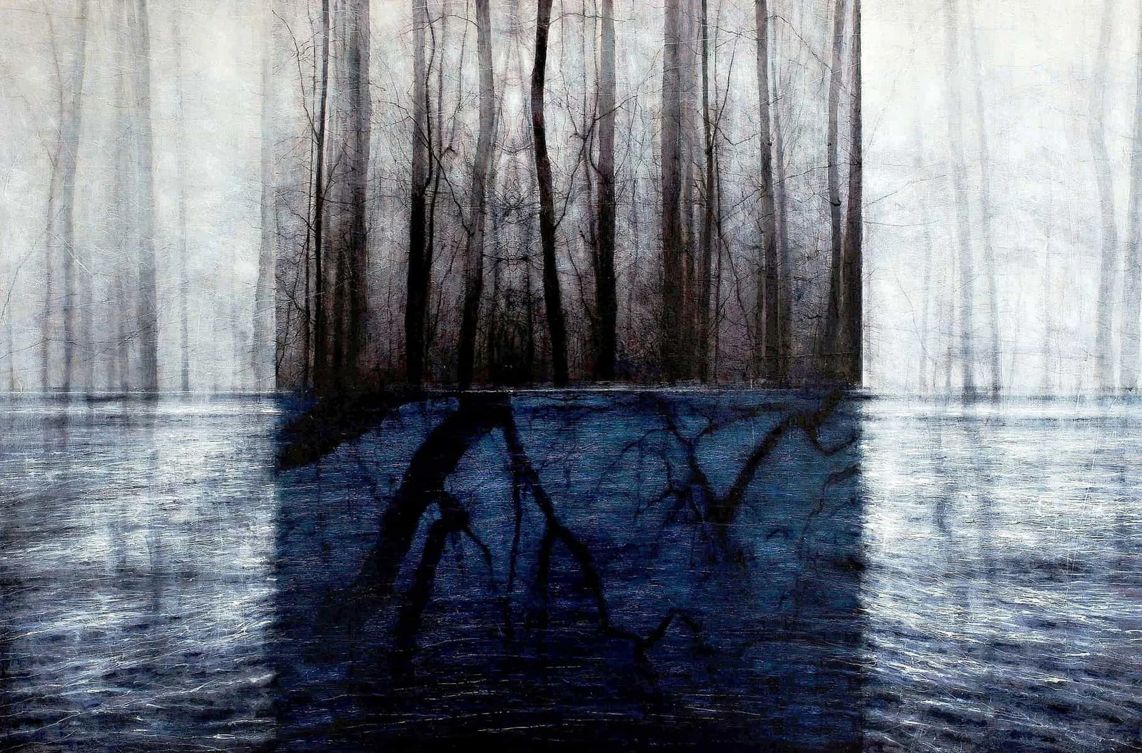030 Las / Rytuał I — Mariusz Krawczyk
