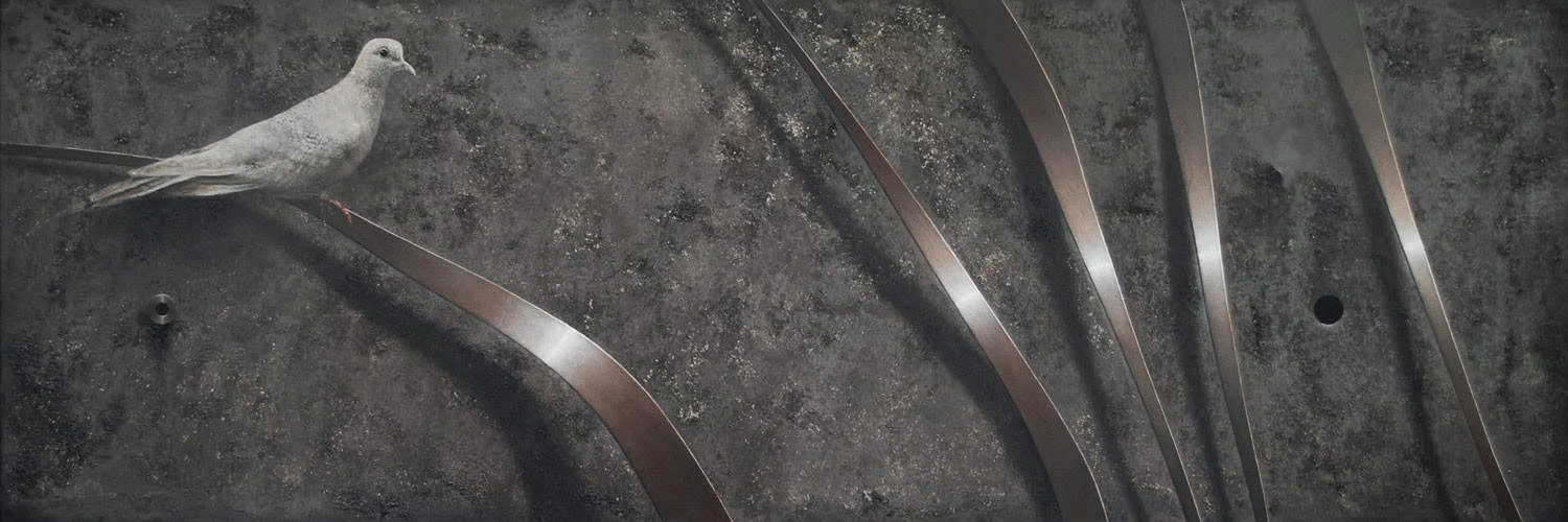 126. Transfer — Daniel Krysta