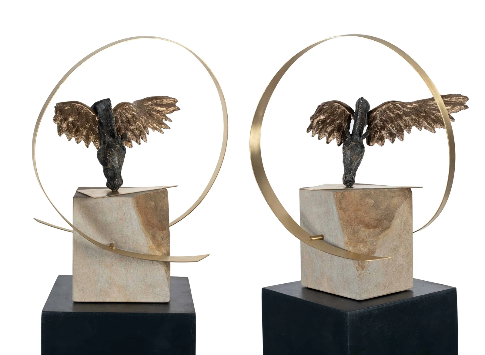 pegasus — Grupa Morphosos