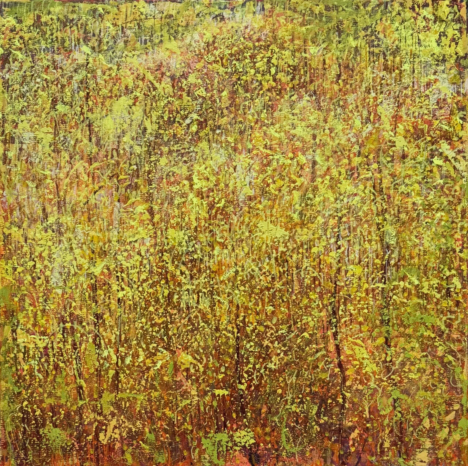 Yellow — Tomasz Klimczyk