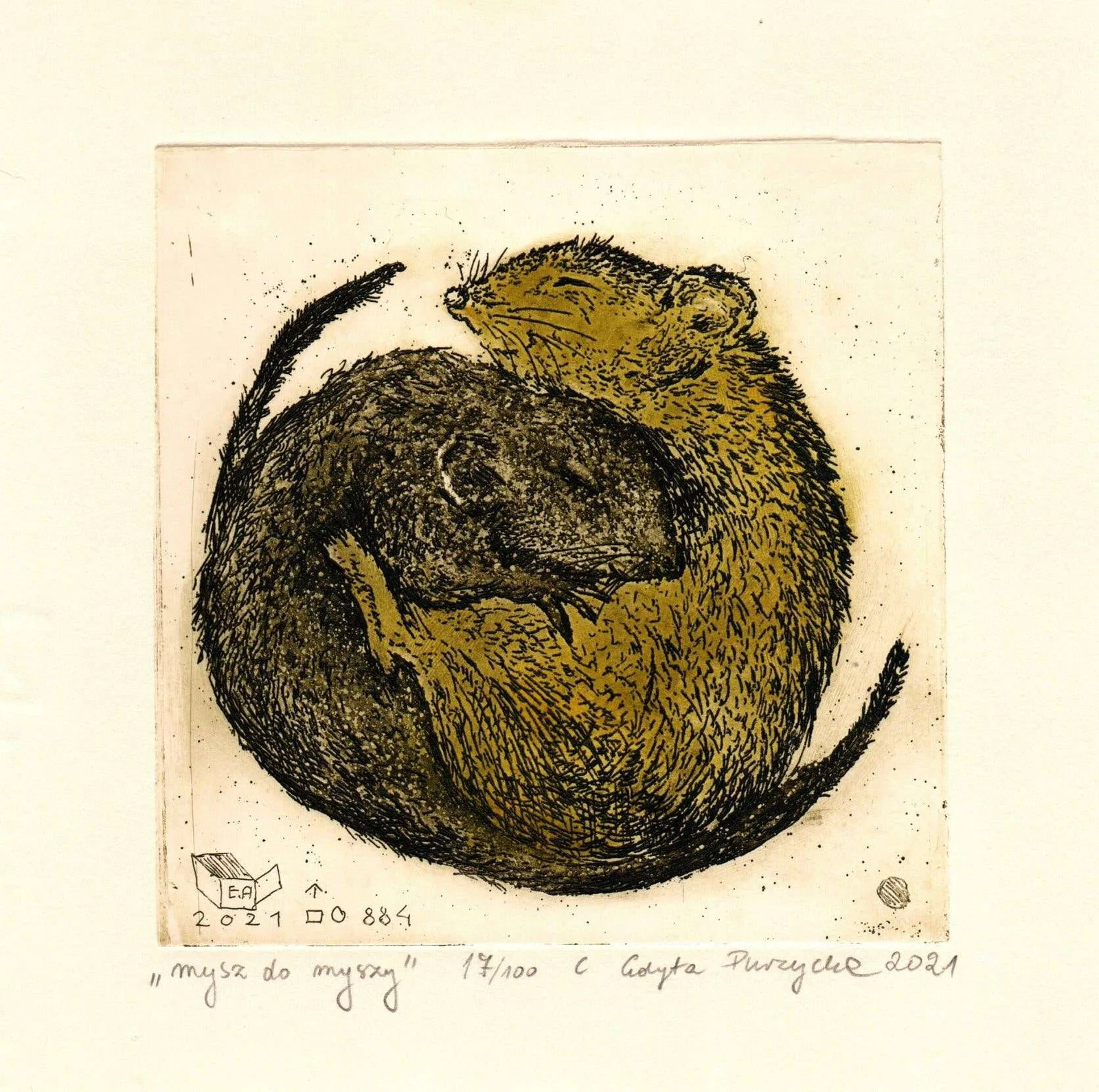 Mouse to Mouse — Edyta Purzycka