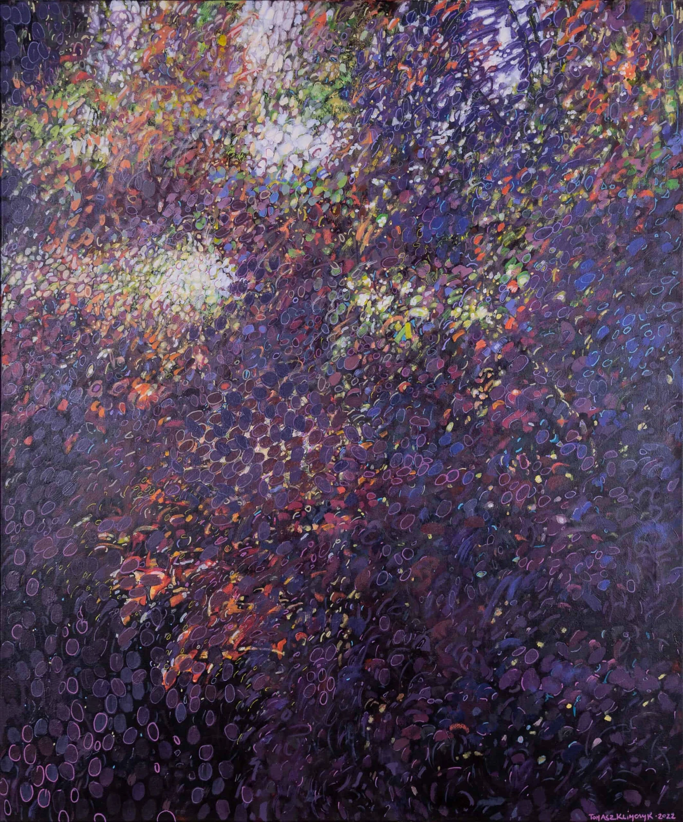 In the Garden — Tomasz Klimczyk