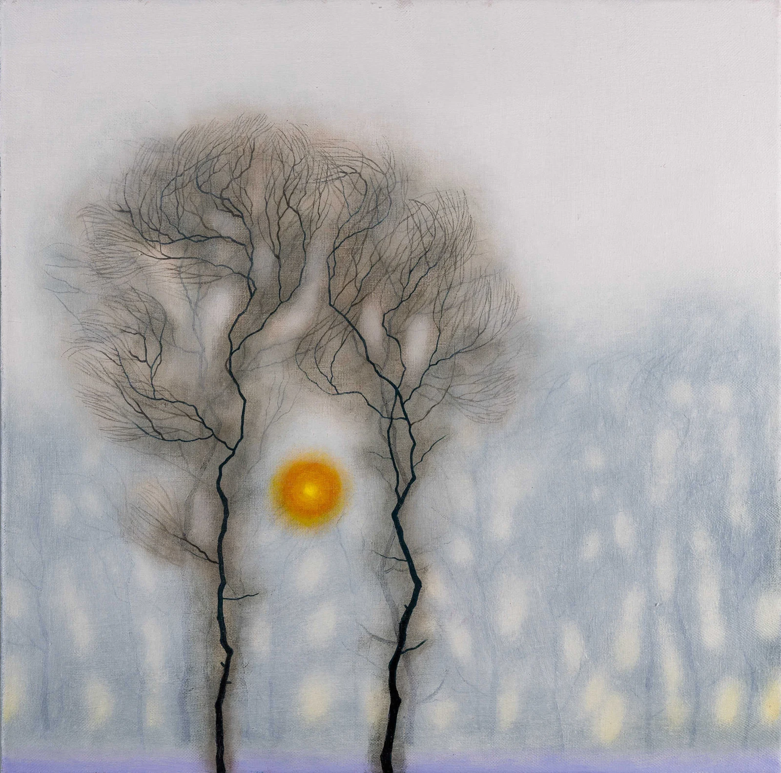 Fog — Dawid Zdobylak