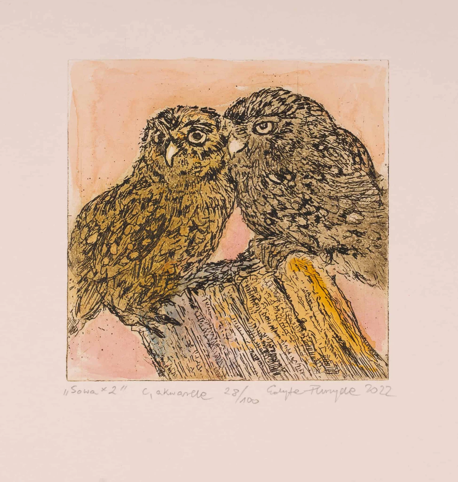 Sowa x 2 — Edyta Purzycka