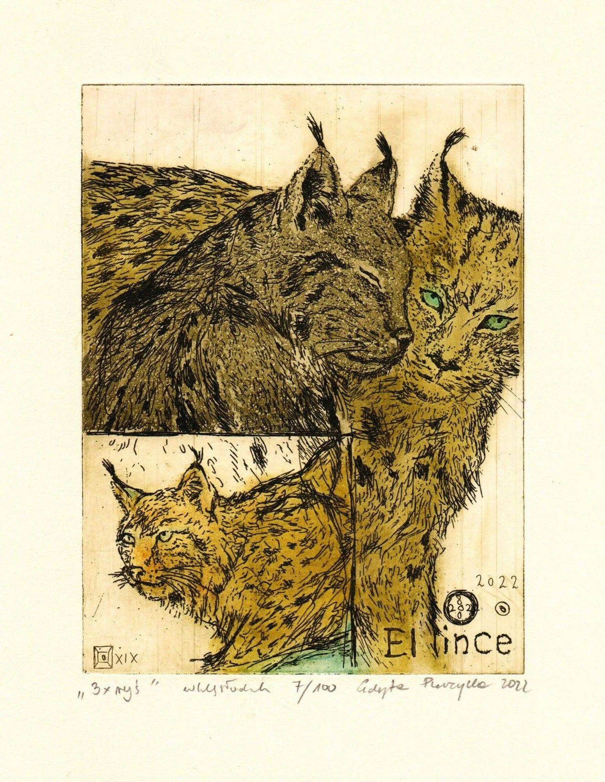 3 x ryś — Edyta Purzycka