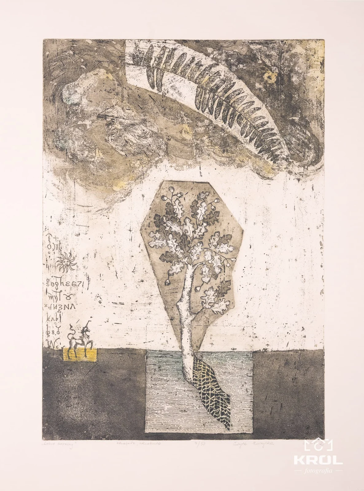 Leśne zapachy — Edyta Purzycka