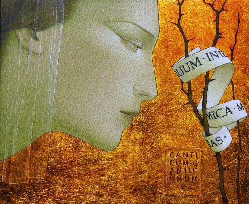 027 – Among the Thorns — Michał Świder