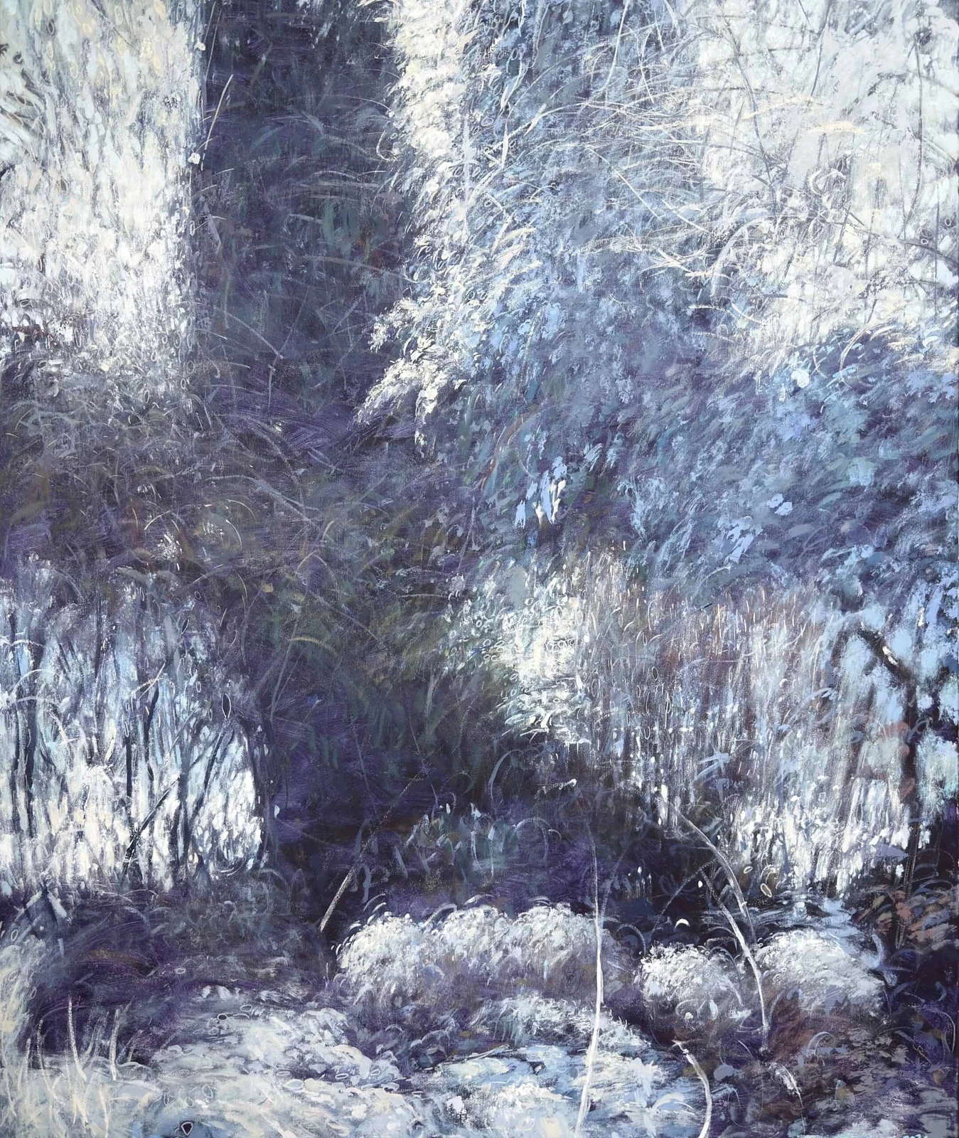 Styczniowe słońce — Tomasz Klimczyk