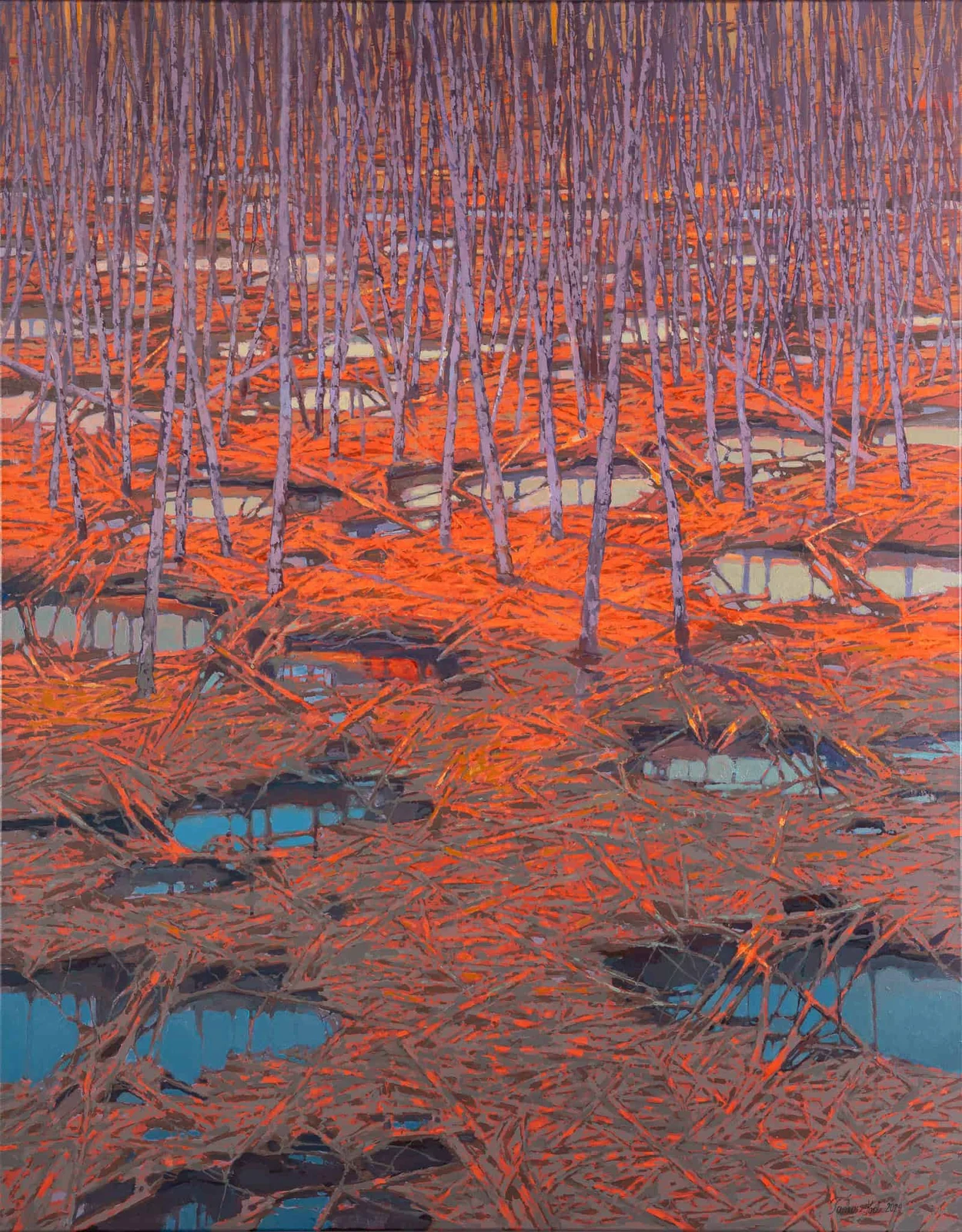 Autumn Birch Forest — Tadeusz Król