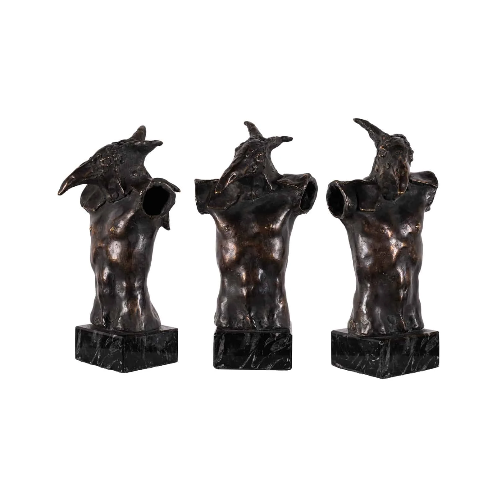 Bird Man — Wiesław Kwak