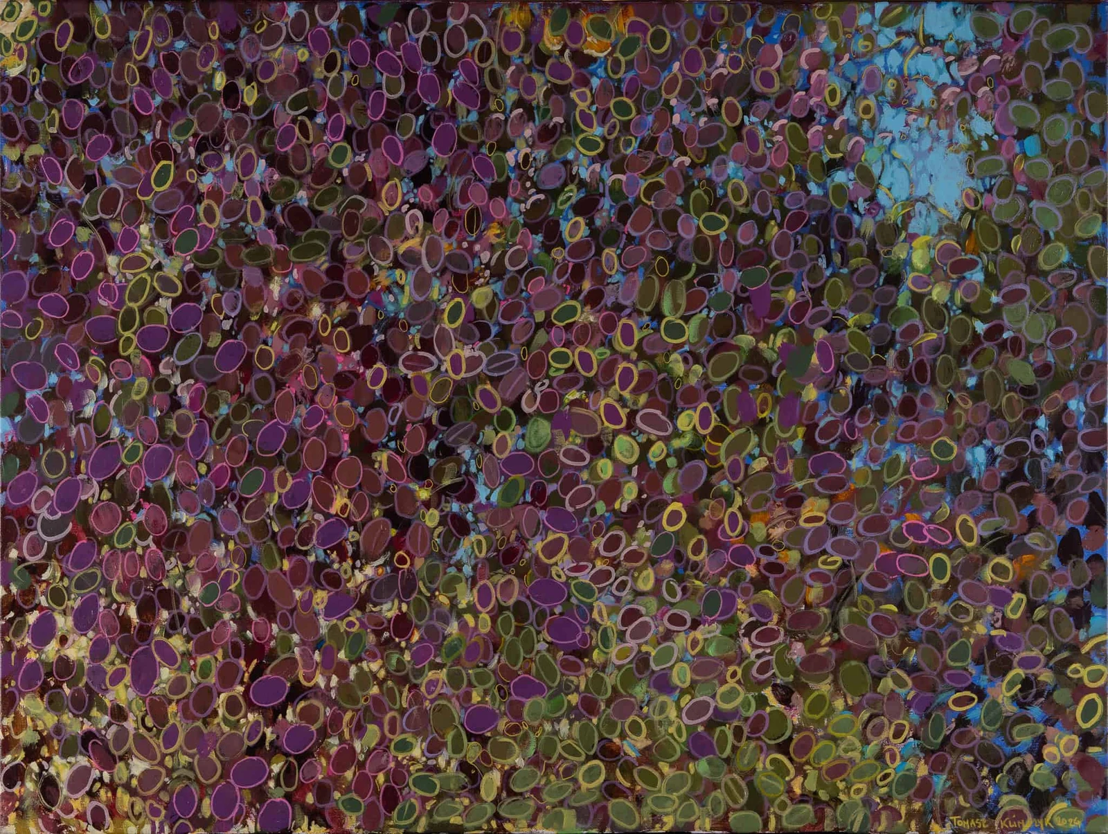 As Usual, Something Is Going On in the Garden — Tomasz Klimczyk