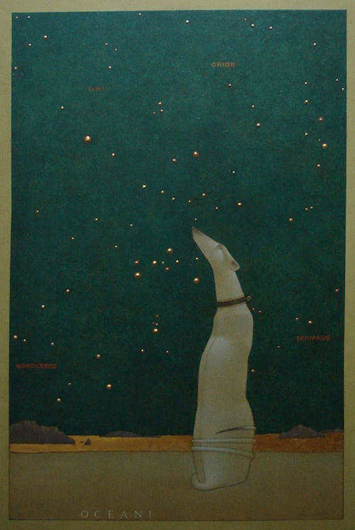 13 — Michał Świder