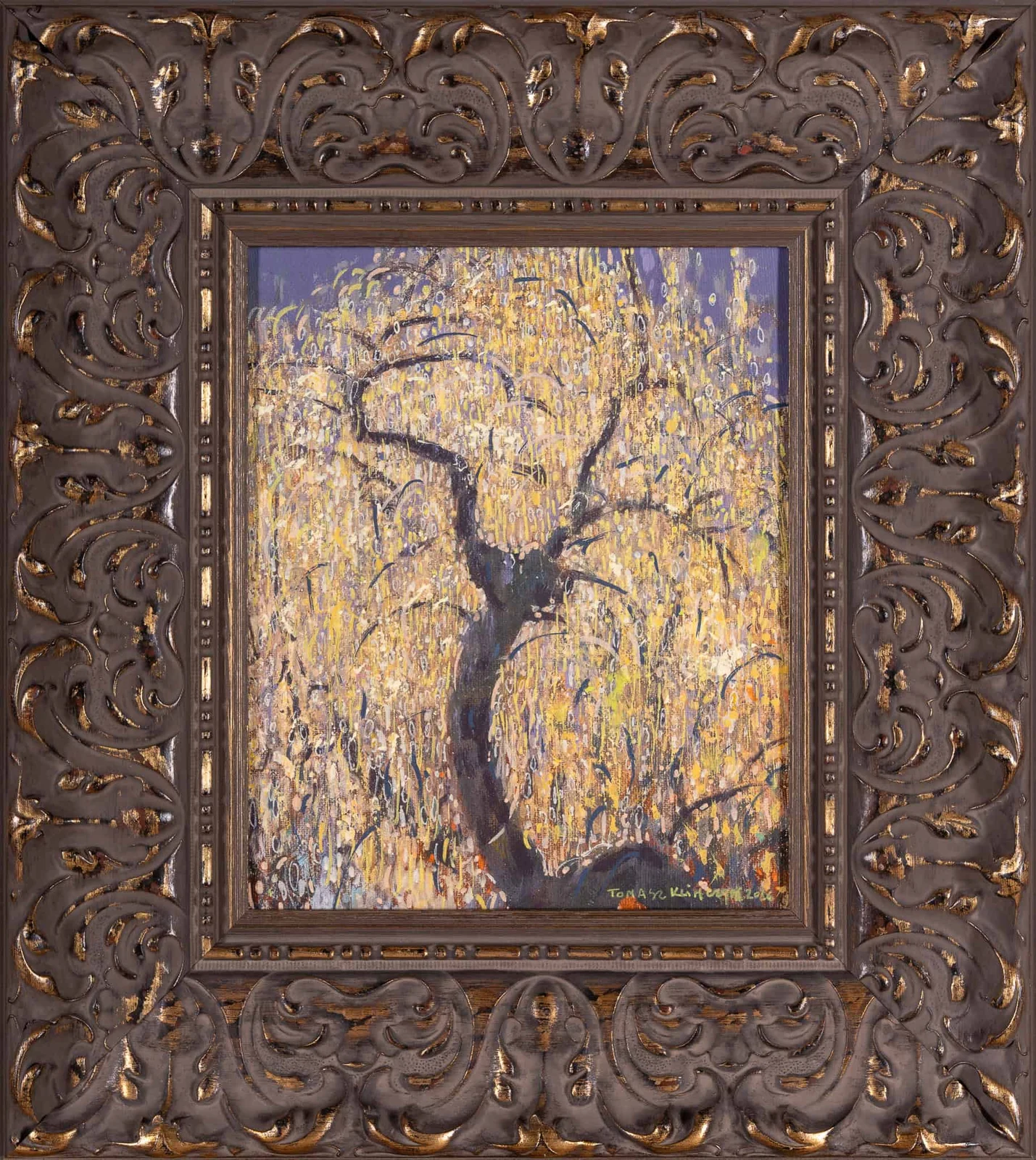 Złotokap — Tomasz Klimczyk