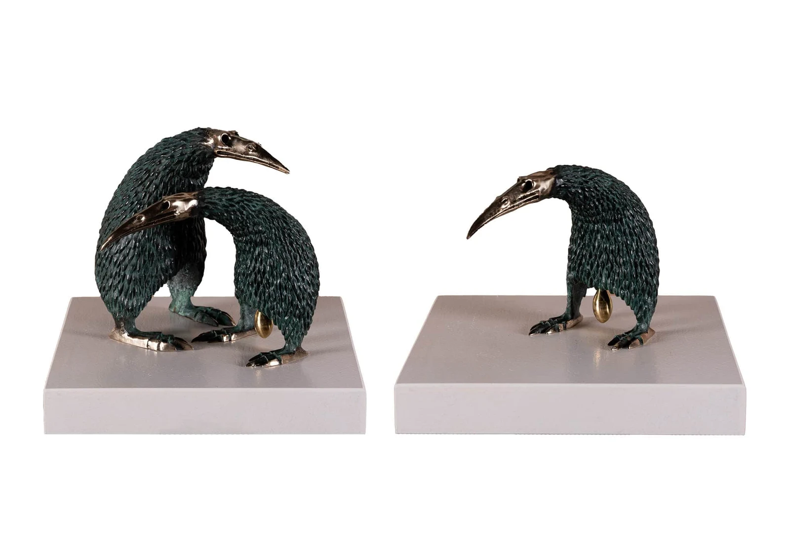 Small Kiwi — Józef Polewka