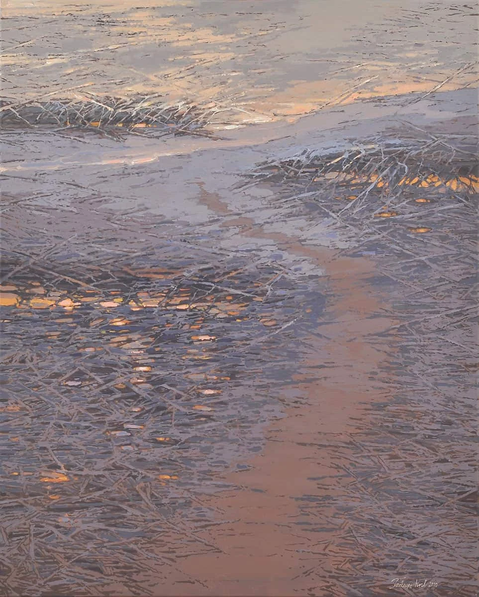 046. Motyw zimowy — Tadeusz Król