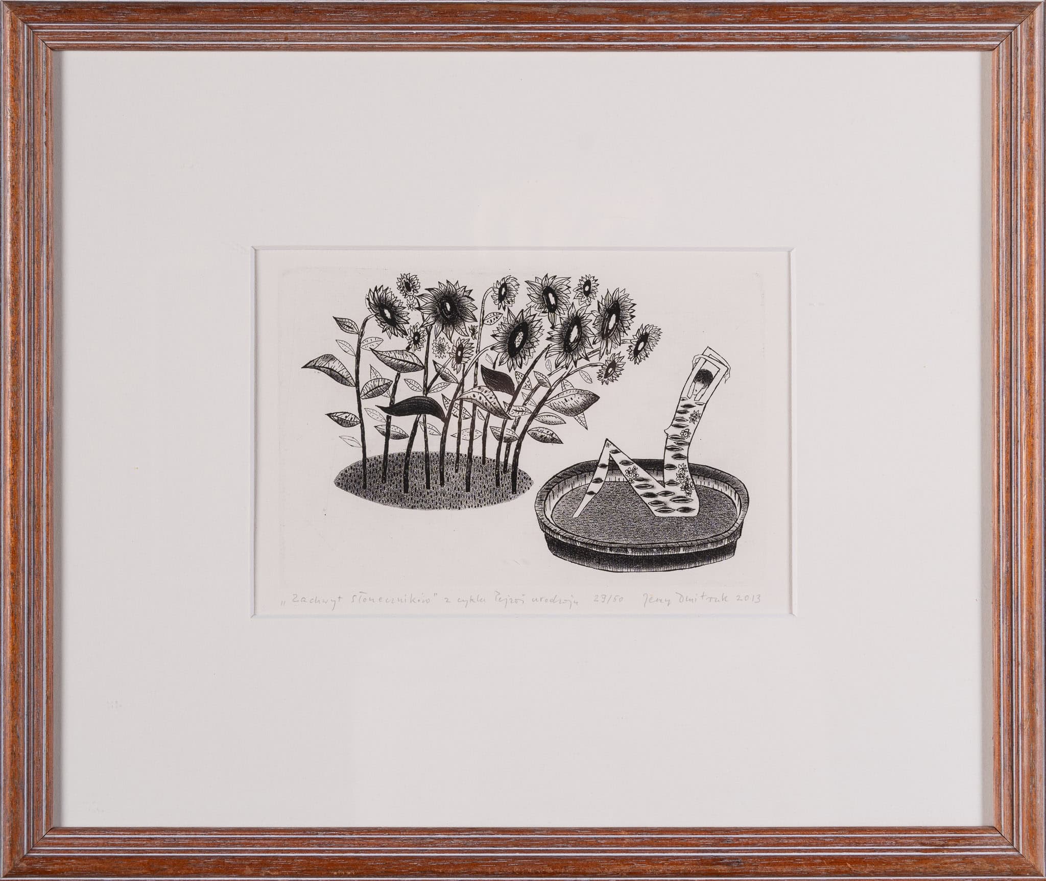 Zachwyt słoneczników