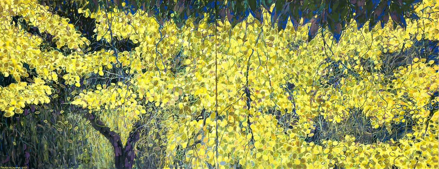 Tomasz Klimczyk — En el Real Jardín Botánico, Madrid